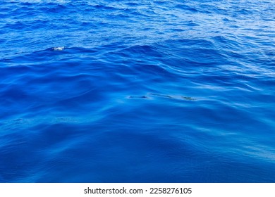 Very nice sea water background or backdrop with selective focus. Small waves of natural water surface texture. Still calm ripples colorful blue wave in a river or ocean. - Shutterstock ID 2258276105