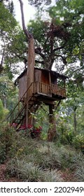 Very Nice Tree House And View Of The Surrounding Forest