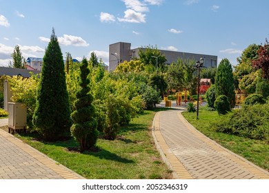 Very nice and well kept city central park. Improvement and greening of public spaces. Landscape for comfort in the city and urban environment. Background with copy space for text or inscriptions.