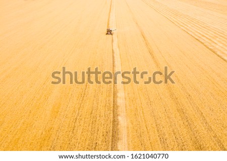 Similar – Combine harvester harvests grain field in the evening light from the air