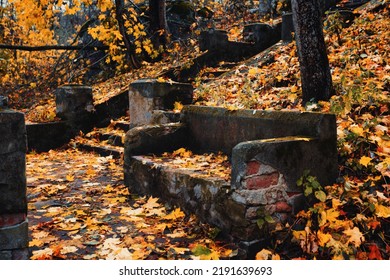 A Very Old Stone Bench And Steps In An Autumn Park