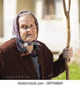 Very Old Woman In Head Scarf With Rake In Her Backyard