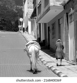 Very old woman walking up a steep street with a white horse that she keeps on a leash with a rope. Villeta, Cundinamarca, Colombia.