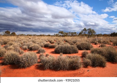 Very remote spinifex grass covered spot in the Great Victoria Desert in central Australia.
