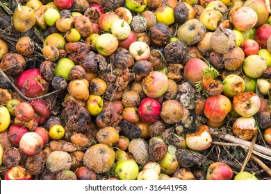 3,024 Apple bin Images, Stock Photos & Vectors | Shutterstock