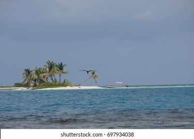 Very Small Island With Boat And Frigate Bird In The Caribbean, Belize