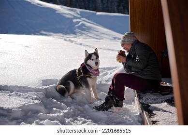 Very Smiling Asian Senior Woman Is Drinking Hot Tea Outdoor  In The Wooden Gazebo In The Winter Hike With Siberian Husky Dog 