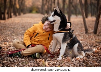 Very Smiling Young European Boy Seven Years Old In The Brown Pants And Yellow Jacket Is Sitting On The Ground With The Husky Dog In The Autumn Park