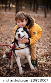 Very Smiling Young European Boy Seven Years Old In The Brown Pants And Yellow Jacket Is Sitting On The Ground With The Husky Dog In The Autumn Park