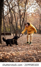 Very Smiling Young European Boy Seven Years Old In The Brown Pants And Yellow Jacket Is Playing With The Black Dog In The Autumn Park