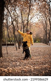 Very Smiling Young European Boy Seven Years Old In The Brown Pants And Yellow Jacket Is Playing With The Black Dog In The Autumn Park