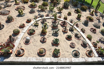 Very Well-kept Garden On Sandy Soil With Succulents And Cacti Of Many Types