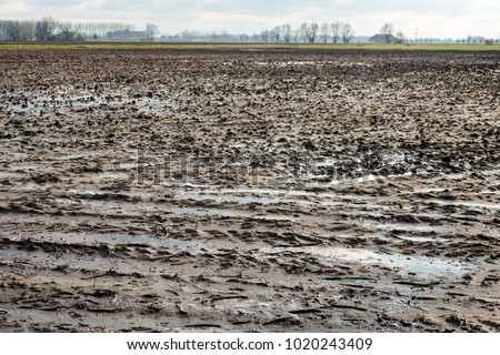 Very wet agriculture clay field with puddles of water due to the rain. It is a cloudy day in the Dutch winter season now.