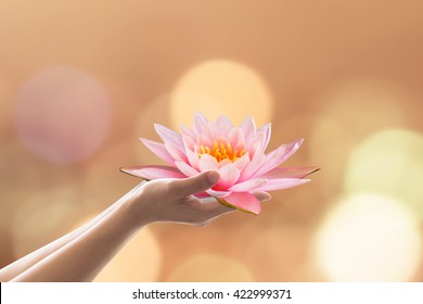 Vesak day, Buddhist lent day, Buddha's birthday worshiping concept with woman's hands holding water lilly or lotus flower 