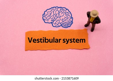 Vestibular system.The word is written on a slip of colored paper. Psychological terms, psychologic words, Spiritual terminology. psychiatric research. Mental Health Buzzwords.