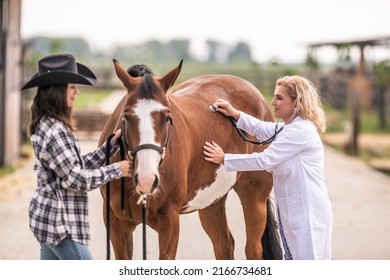 Vet checking the horse's health during a visit on a farm. - Powered by Shutterstock