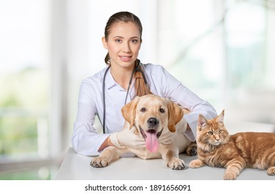 Vet doctor hugs cat and dog at veterinary clinic. - Shutterstock ID 1891656091