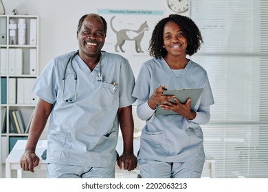 Vet Doctor With Nurse Working At Clinic