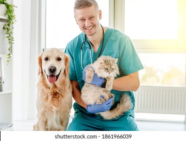 Vet With Dog And Cat In Clinic