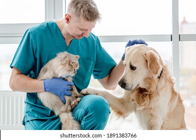 Vet With Dog And Cat In Clinic