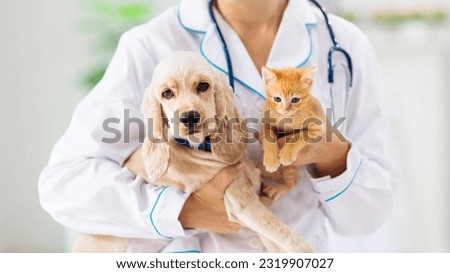 Vet with dog and cat. Puppy and kitten at doctor. Dog vaccination in vet clinic with veterinary. Woman Stroking Dog at Vet Clinic. Sick dog in hospital bed. 