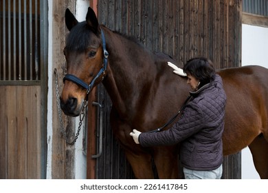 vet examines horse with stethoscope - Powered by Shutterstock