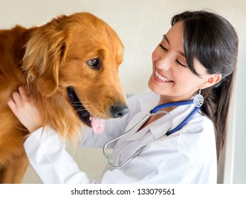 Vet Examining A Cute Dog And Smiling