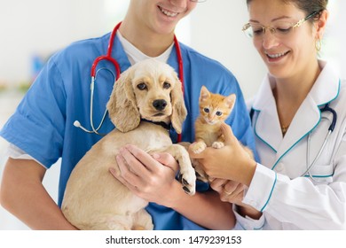 Vet Examining Dog And Cat. Puppy And Kitten At Veterinarian Doctor. Animal Clinic. Pet Check Up And Vaccination. Health Care.