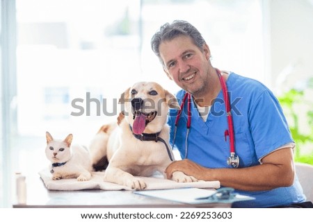 Vet examining dog and cat. Puppy and kitten at veterinarian doctor. Animal clinic. Pet check up and vaccination. Health care for dogs and cats. ストックフォト © 