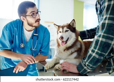 Vet Expert Consulting Owner Of Husky Dog In Clinic