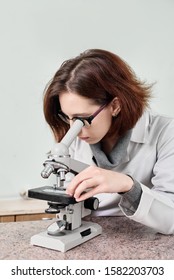 Vet Female Doctor Doing Test And Using Microscope