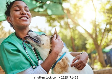 Vet, happy and nurse with a dog in nature doing medical healthcare checkup and charity work for homeless animals. Smile, doctor or veterinarian loves nursing, working or helping dogs, puppy and pets - Powered by Shutterstock