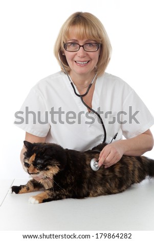Vet holds a cat during vet clinic visit over white background. 