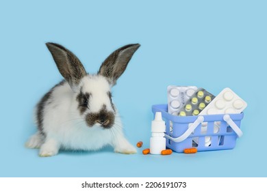 Vet Medicine Concept. Rabbit And Basket With Drugs, Medical Supplies. Veterinary Treatment Of Animal. Bunny With Stethoscope As Veterinarian On Blue Background. Health Care Pet