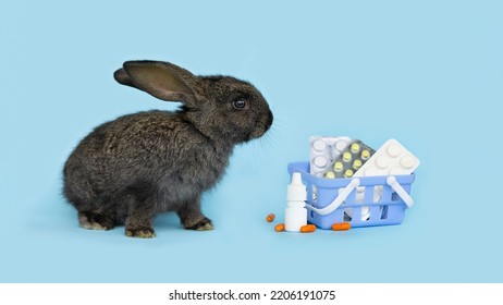 Vet Medicine Concept. Rabbit And Basket With Drugs, Medical Supplies. Veterinary Treatment Of Animal. Bunny With Stethoscope As Veterinarian On Blue Background. Health Care Pet. Banner