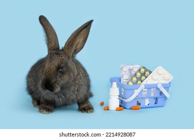 Vet Medicine Concept. Rabbit And Basket With Drugs, Medical Supplies. Veterinary Treatment Of Animal. Bunny With Stethoscope As Veterinarian On Blue Background. Health Care Pet