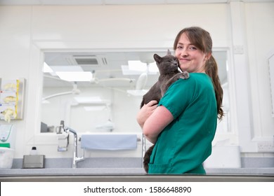 Vet Nurse Holding Pet Cat By Table In Vet Surgery Smiling At Camera