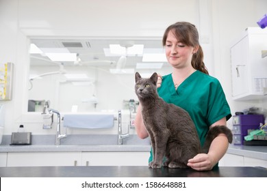 Vet Nurse With Pet Cat On Table In Vet Surgery