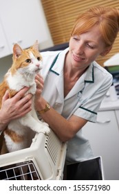 Vet Taking Cat Out Of Carrier For Examination