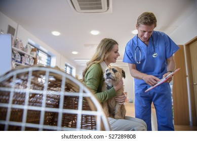 Vet Talking To Woman Holding Pet Dog In Veterinary Waiting Room