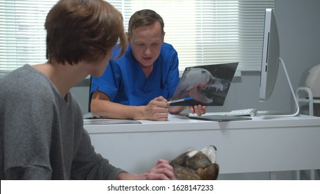 Vet Talks To Man With Husky And Shows X-ray Of Dog, Slow Motion