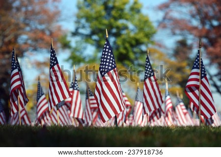 Veterans Day Flags