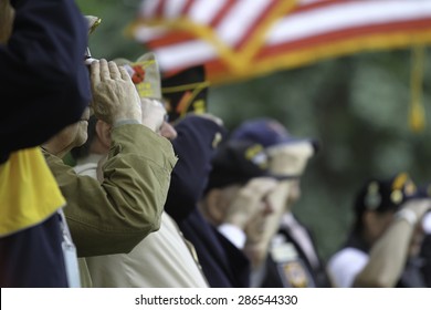 Veterans Salute The US Flag During  Memorial Day Service.