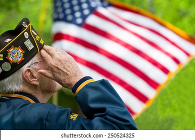 Veteran's Saluting