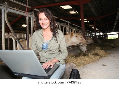 Veterinarian In Barn With Laptop Computer