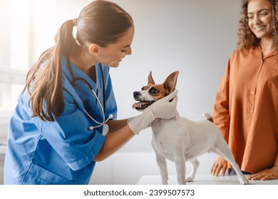 Veterinarian in blue scrubs smiling as she examines a playful Jack Russell Terrier, with the pet's owner looking on with a happy expression