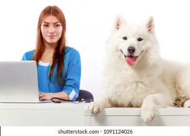 Veterinarian With Computer And Dog,on Table In Vet Clinic, Animal Doctor Concept