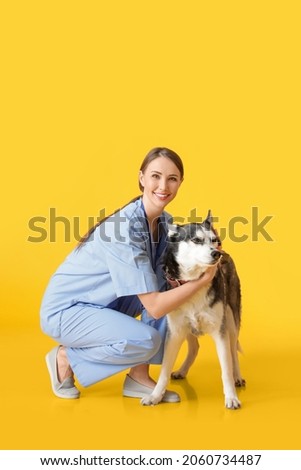 Veterinarian with cute dog on color background