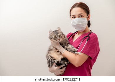 Veterinarian Doctor Asian Woman Wearing Medical Mask With Cat In Veterinary Clinic During Epidemic Virus Outbreak COVID-19. Pet Health Care And Medical Concept.