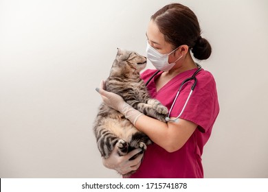 Veterinarian Doctor Asian Woman Wearing Medical Mask With Cat In Veterinary Clinic During Epidemic Virus Outbreak COVID-19. Pet Health Care And Medical Concept.